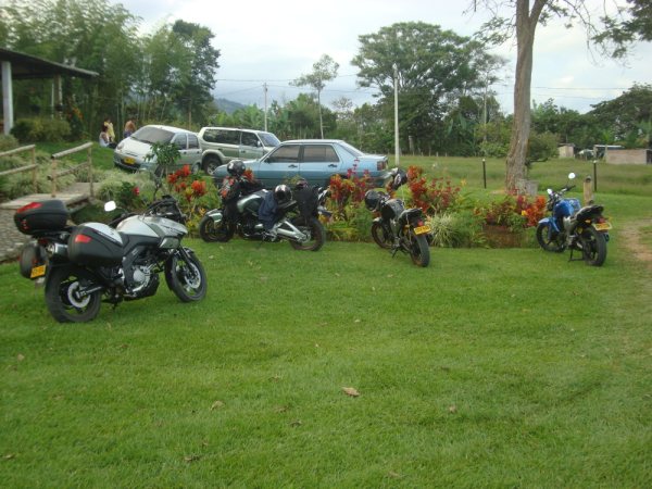 motorcycles and cars parked in a garden near trees