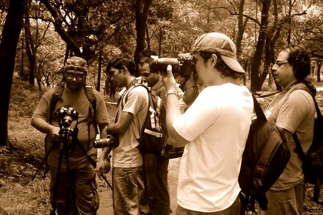 a group of people standing in a forest with a camera