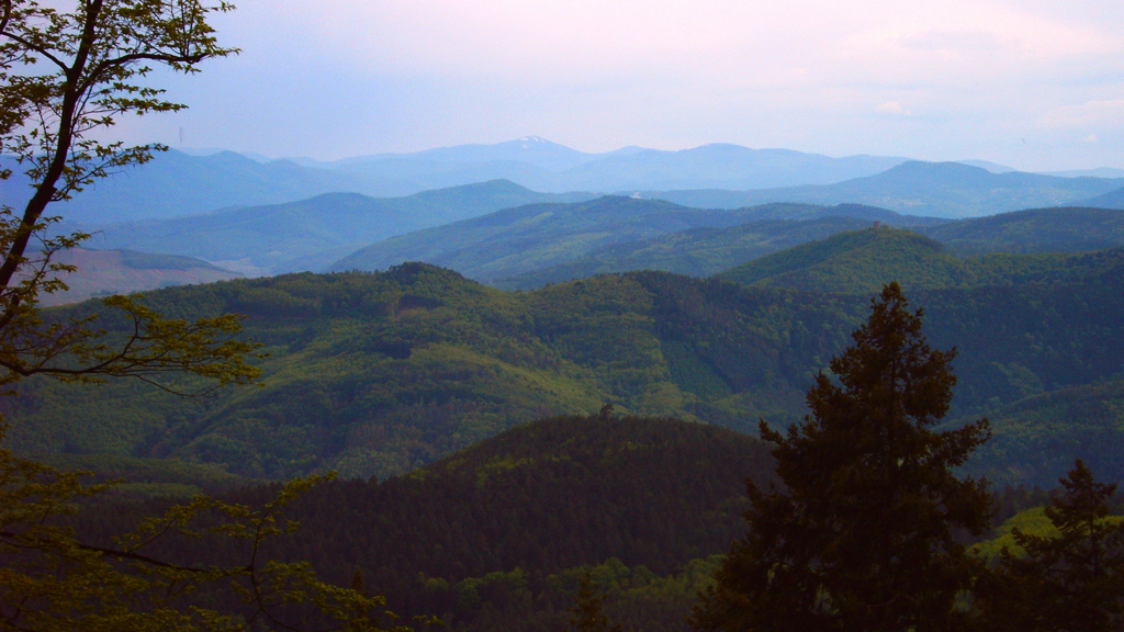 the view of a green mountains covered in trees