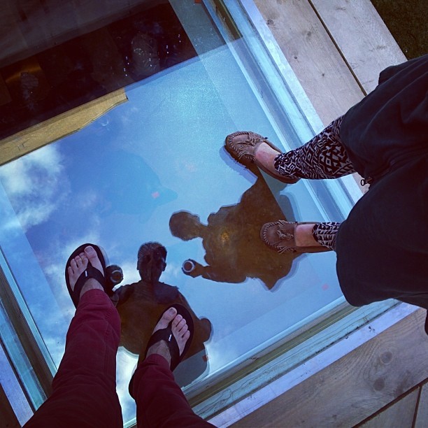 a person standing in front of a glass floor