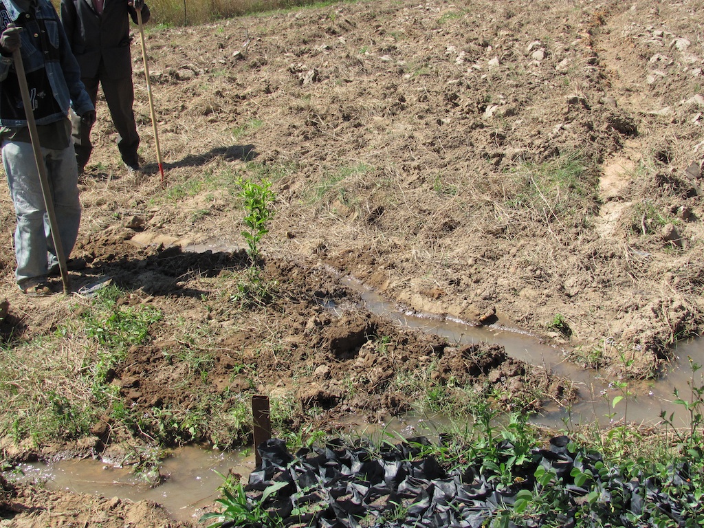 two people are standing in the dirt with a crossbone