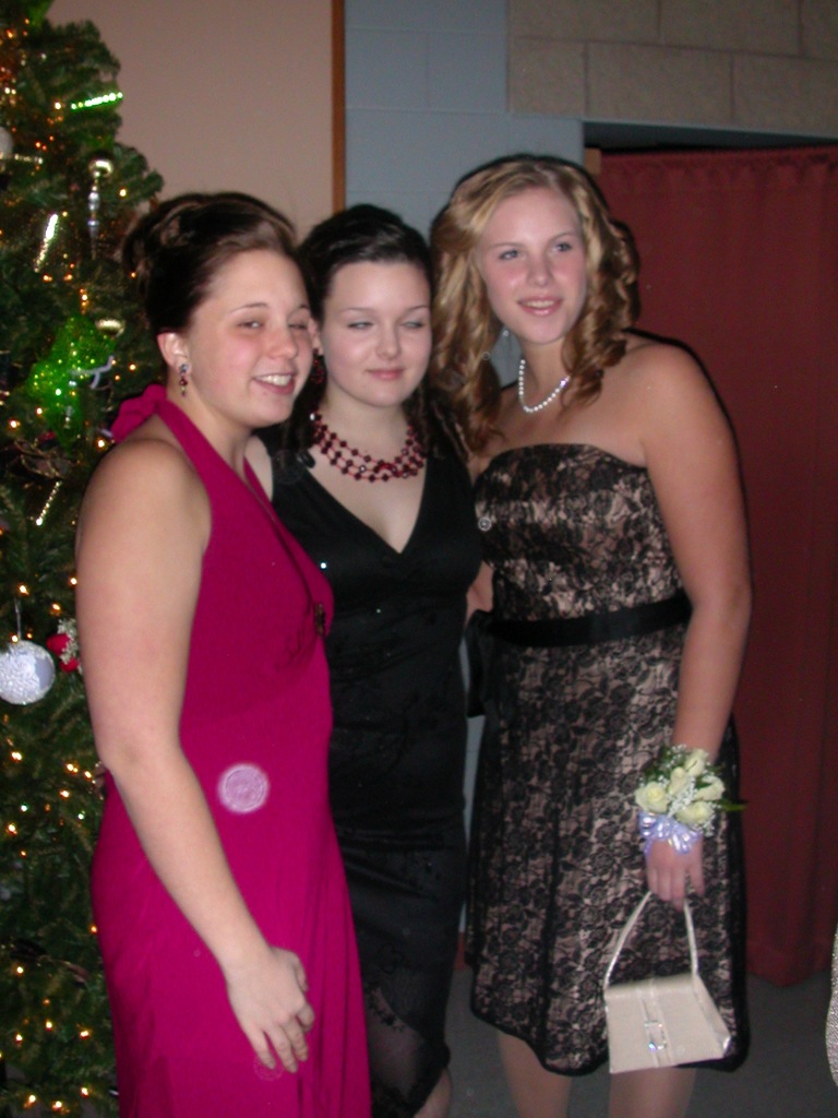 three women dressed in evening gowns posing for a picture