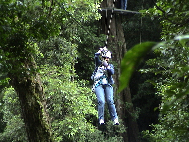 people riding on a zip line through the woods