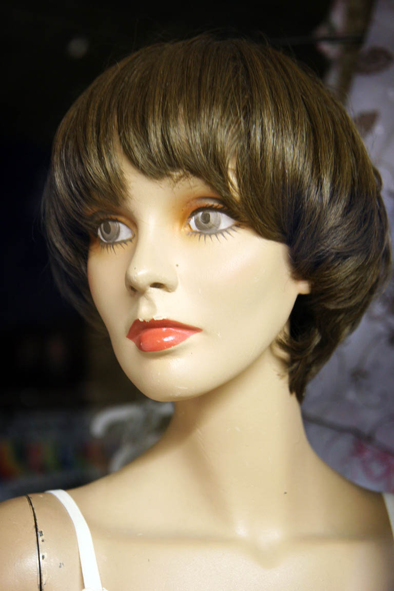 an image of a head that has a mannequin with hair