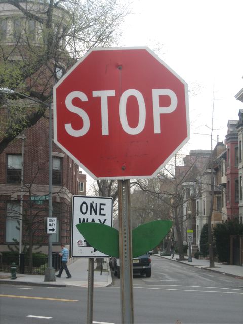 a stop sign with leaves on the corner of an intersection