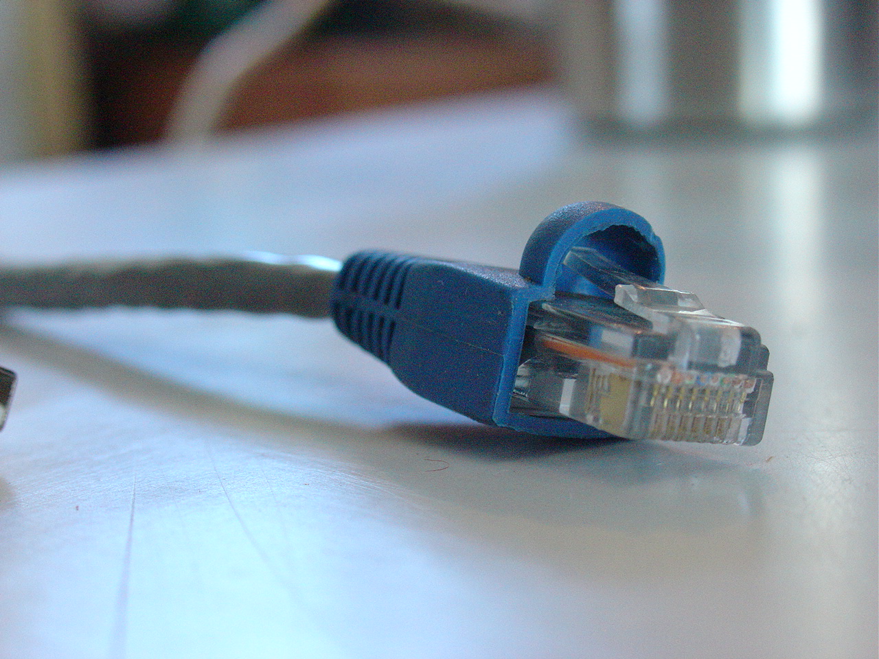 a pair of blue ethernet cable connected to another cable