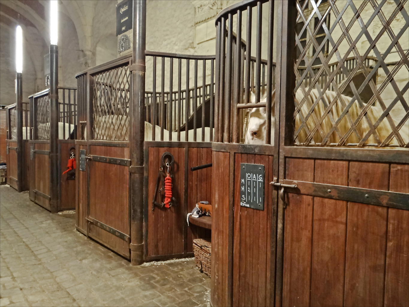 a row of horse stalls with their doors open