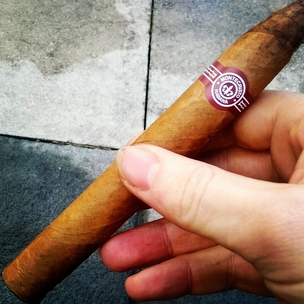 hand holding an un - rolled cigar over a pavement