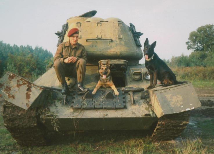 two dogs and a man are sitting in an old tank