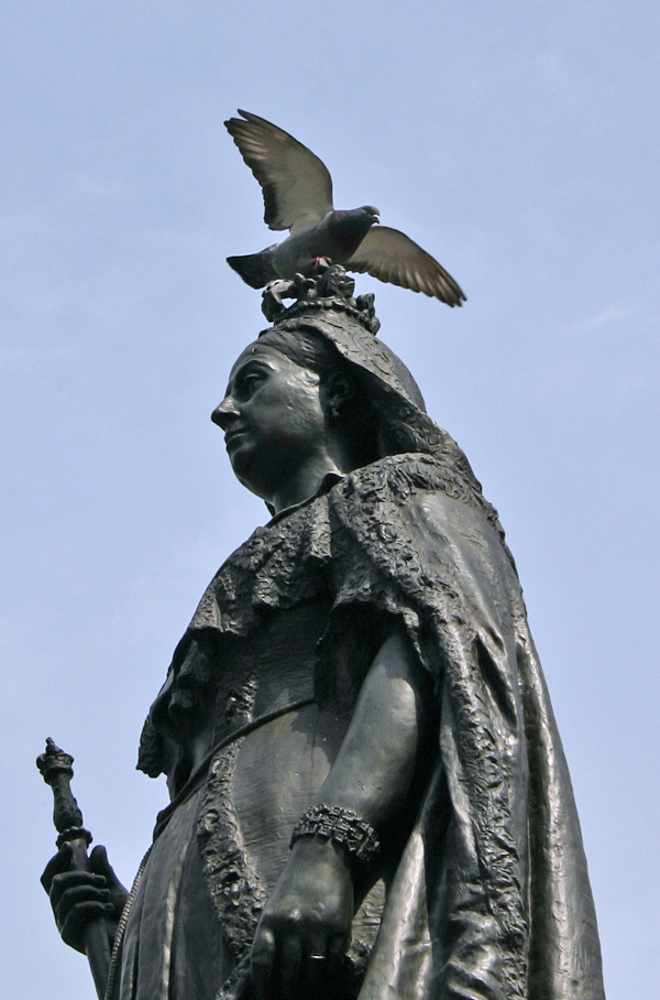 a statue has a pigeon on top of it