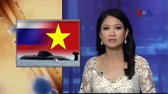 a television news anchor with a picture of the flag