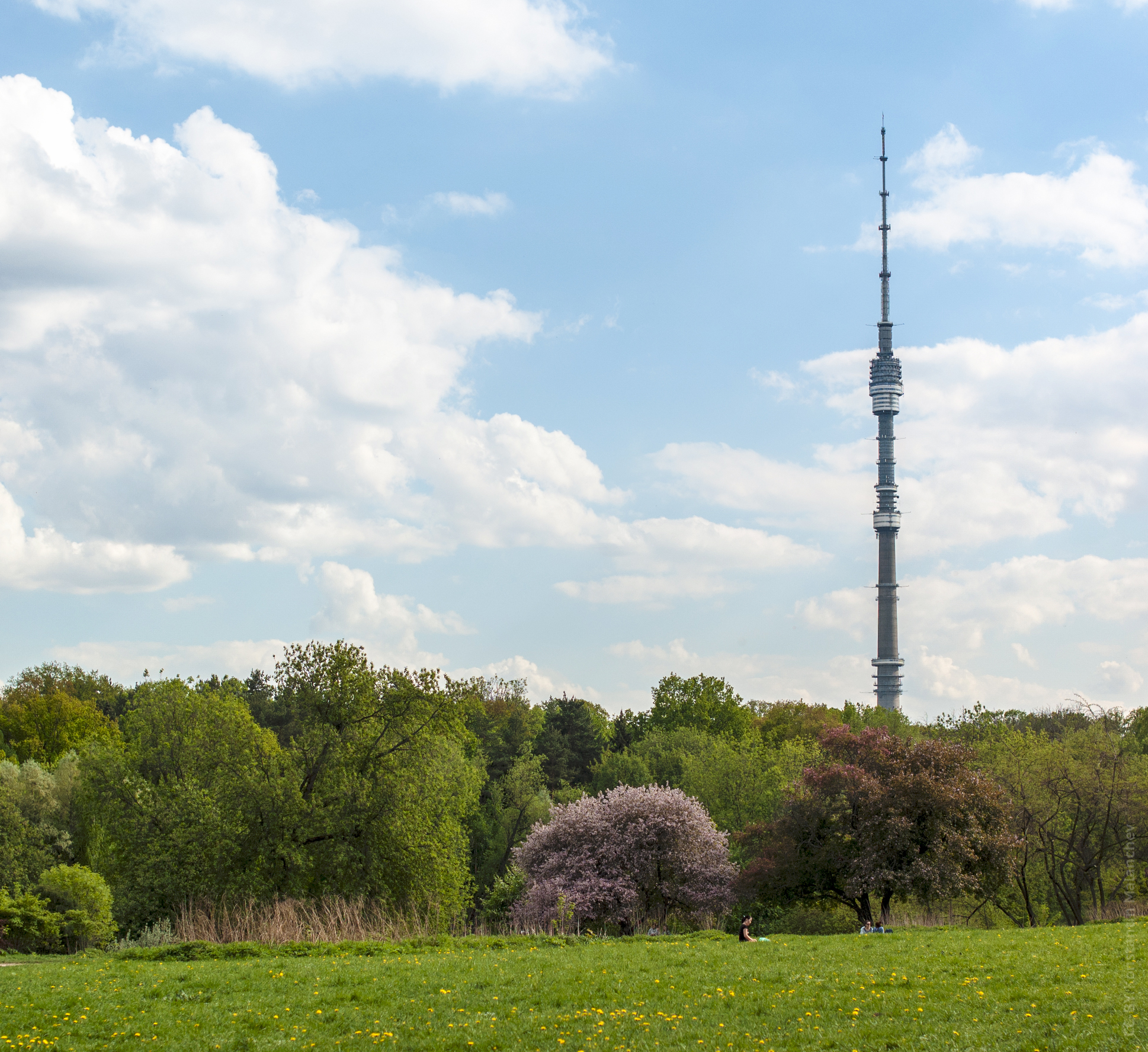 tall tower on a grassy hill near many trees