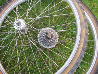 two spokes on a bicycle wheel, on some grass
