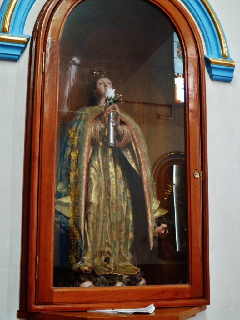 an image of statue in a glass case
