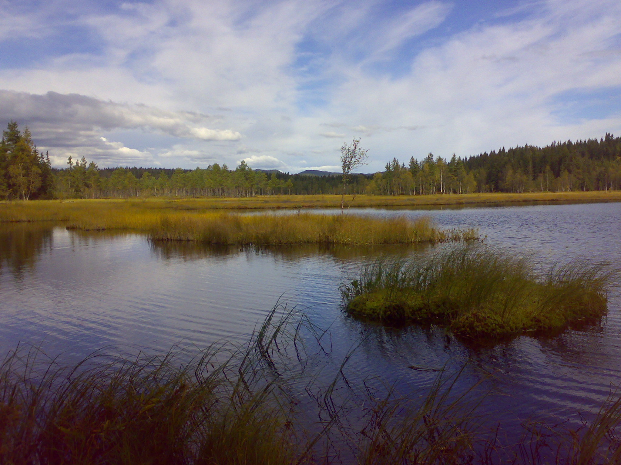 a body of water surrounded by trees