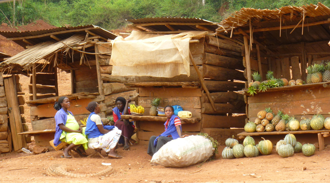 there are many fruit stand that is on the dirt