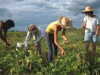 people on a farm with their hands in the plant