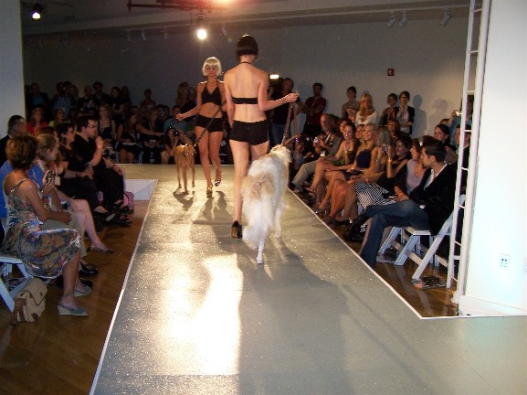 a model is walking down the runway while a dog follows her