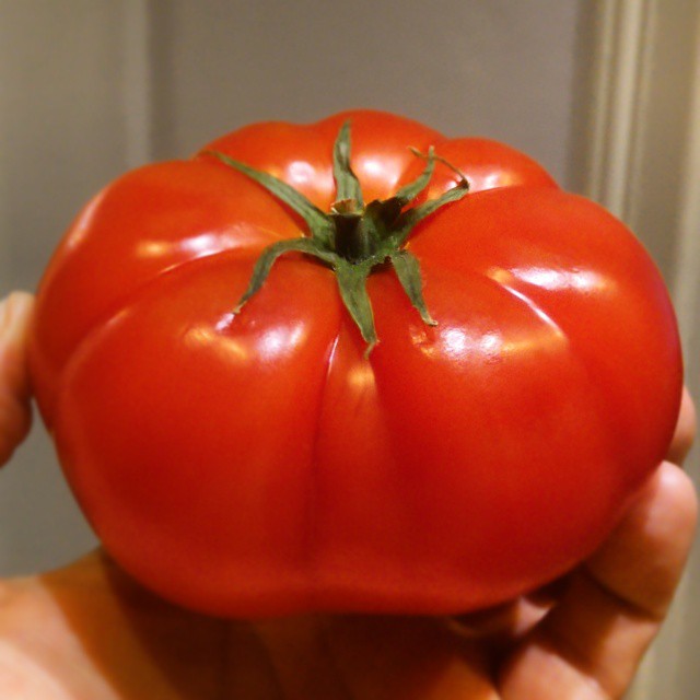 this is a close - up view of a single cherry tomato