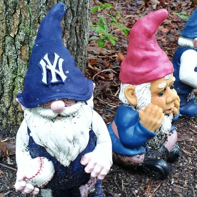 three new york yankees gnomes sitting in the forest