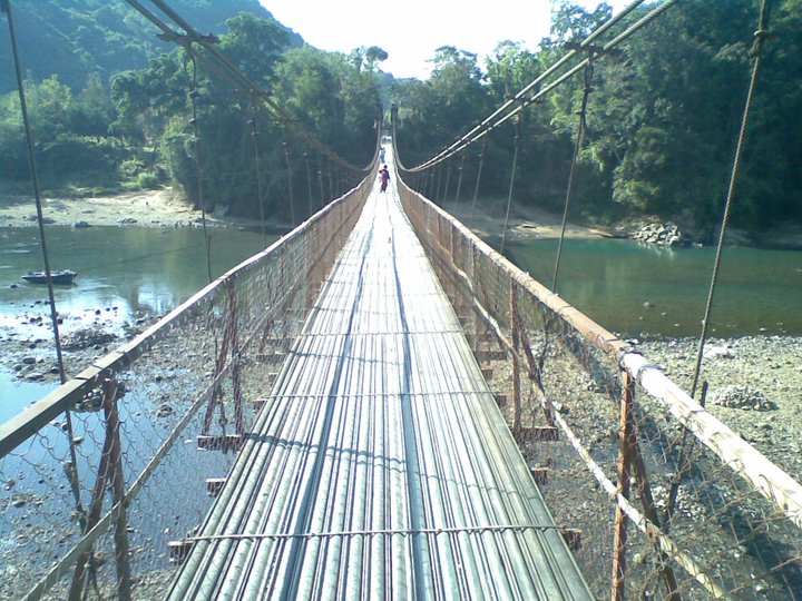 the bridge is made of iron wires and has many vertical poles