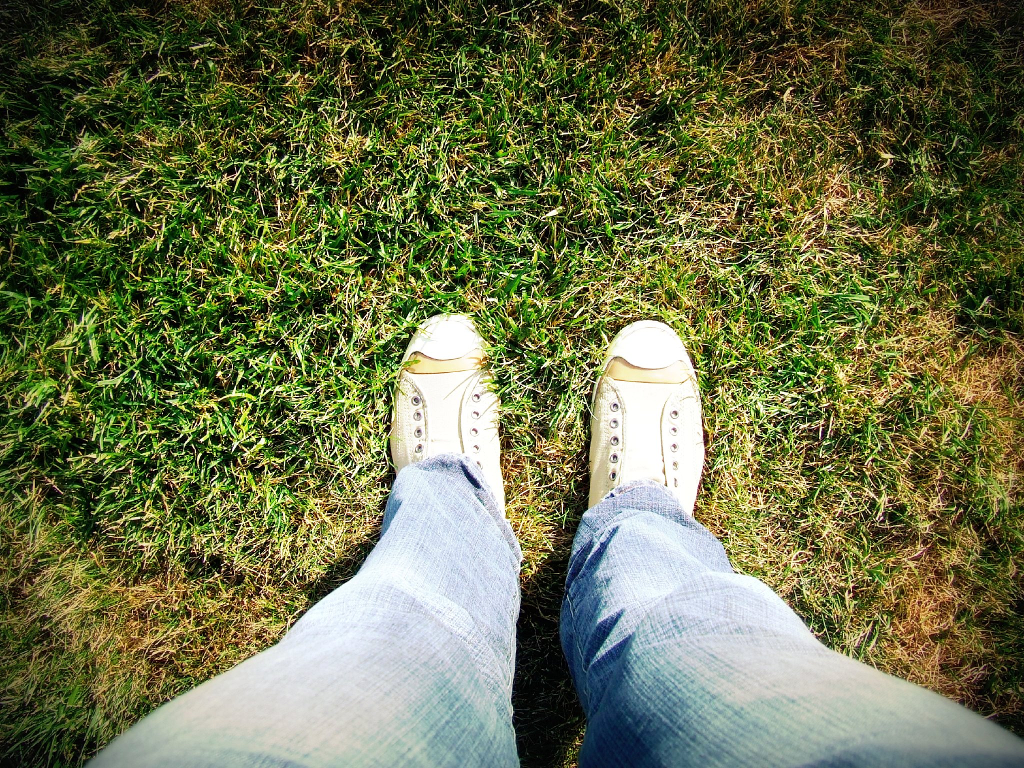 legs with shoes in grassy area of view from above