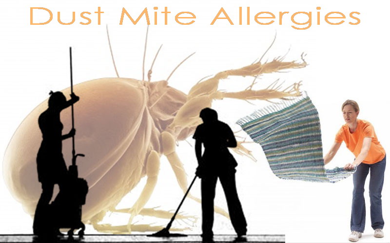 two women with a dust mite and a cleaning broom