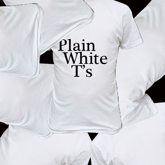 a white tshirt that has plain white ts printed on it