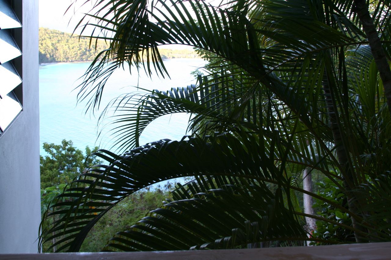 some water and trees from a porch near the ocean