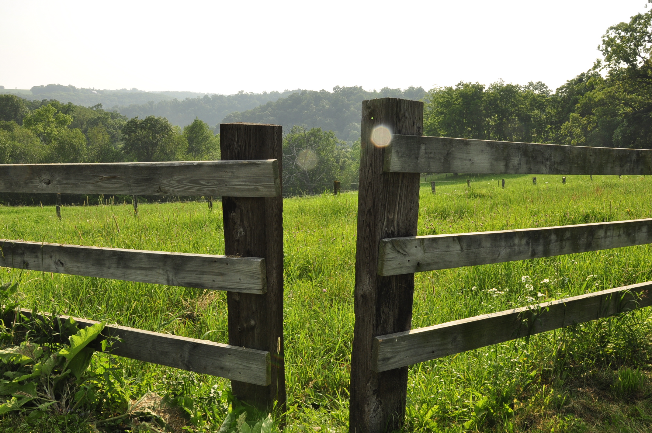 two wood fences in a pasture of grass
