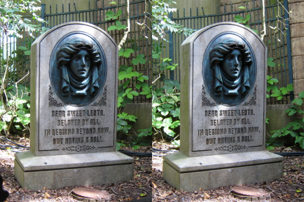 two granite heads of men next to fence and tree