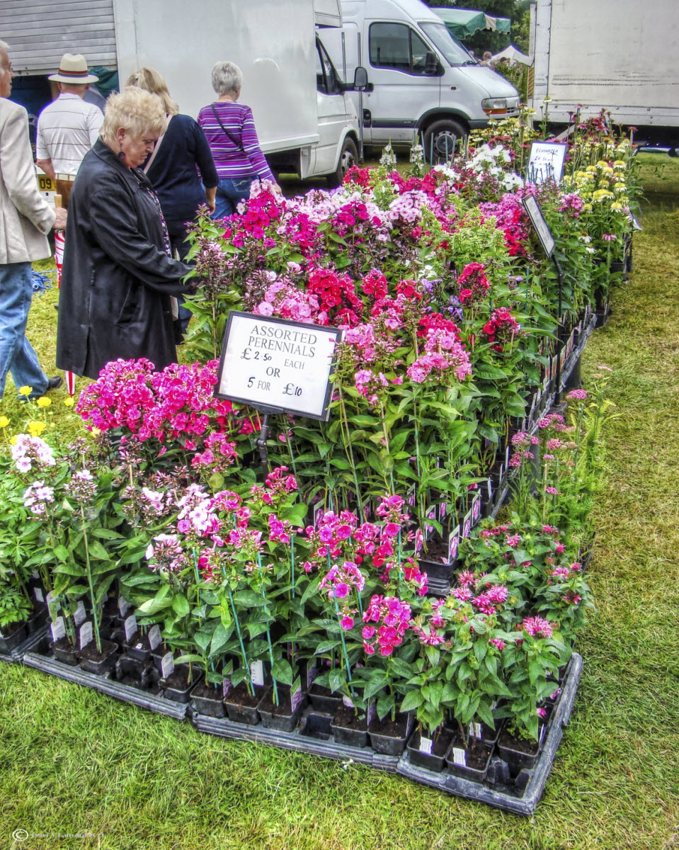 people are looking at flowers in small trays