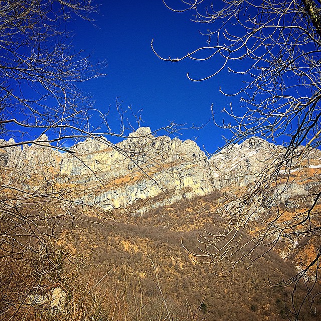 view of a rocky area behind trees with no leaves