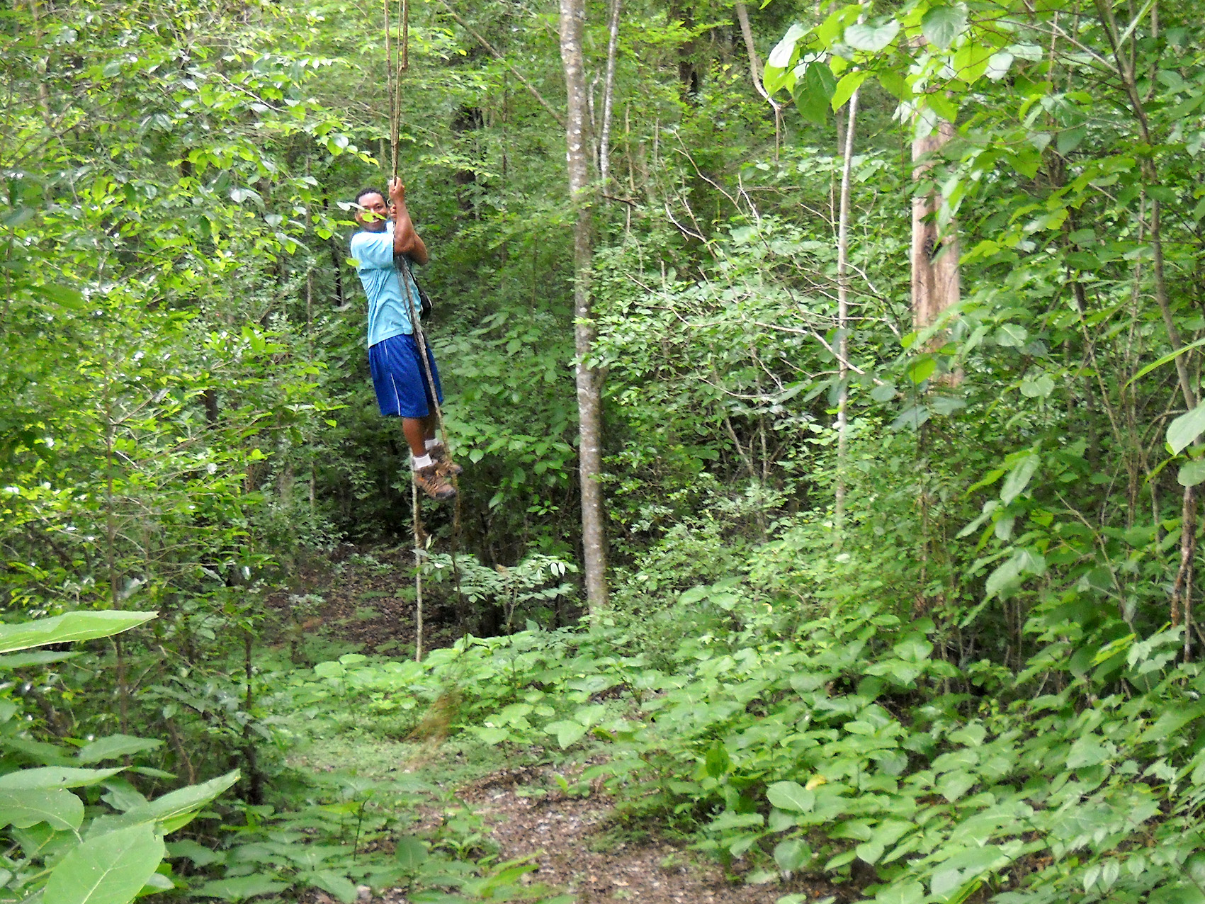 a person hanging on the ropes over some trees