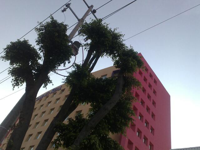 a red and pink building with a lot of trees around it