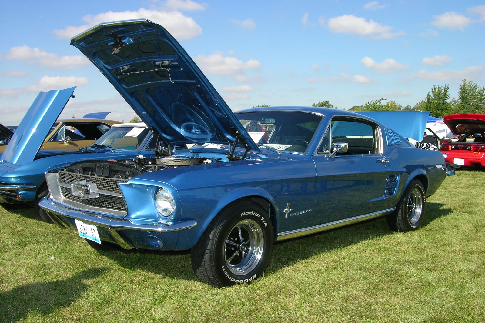 a blue mustang on a green field in front of other cars