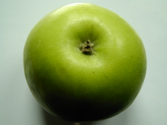 an apple is half eaten on the table