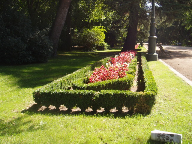 a garden has a box hedges around it and a red and white flower in the center