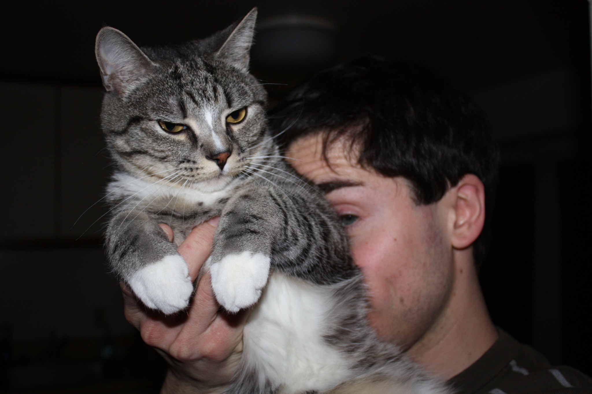 man holding a gray and white kitten in front of his face
