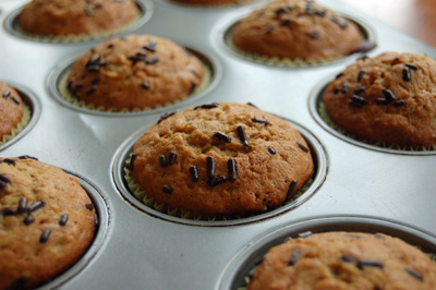 muffins with chocolate chips are sitting in a pan