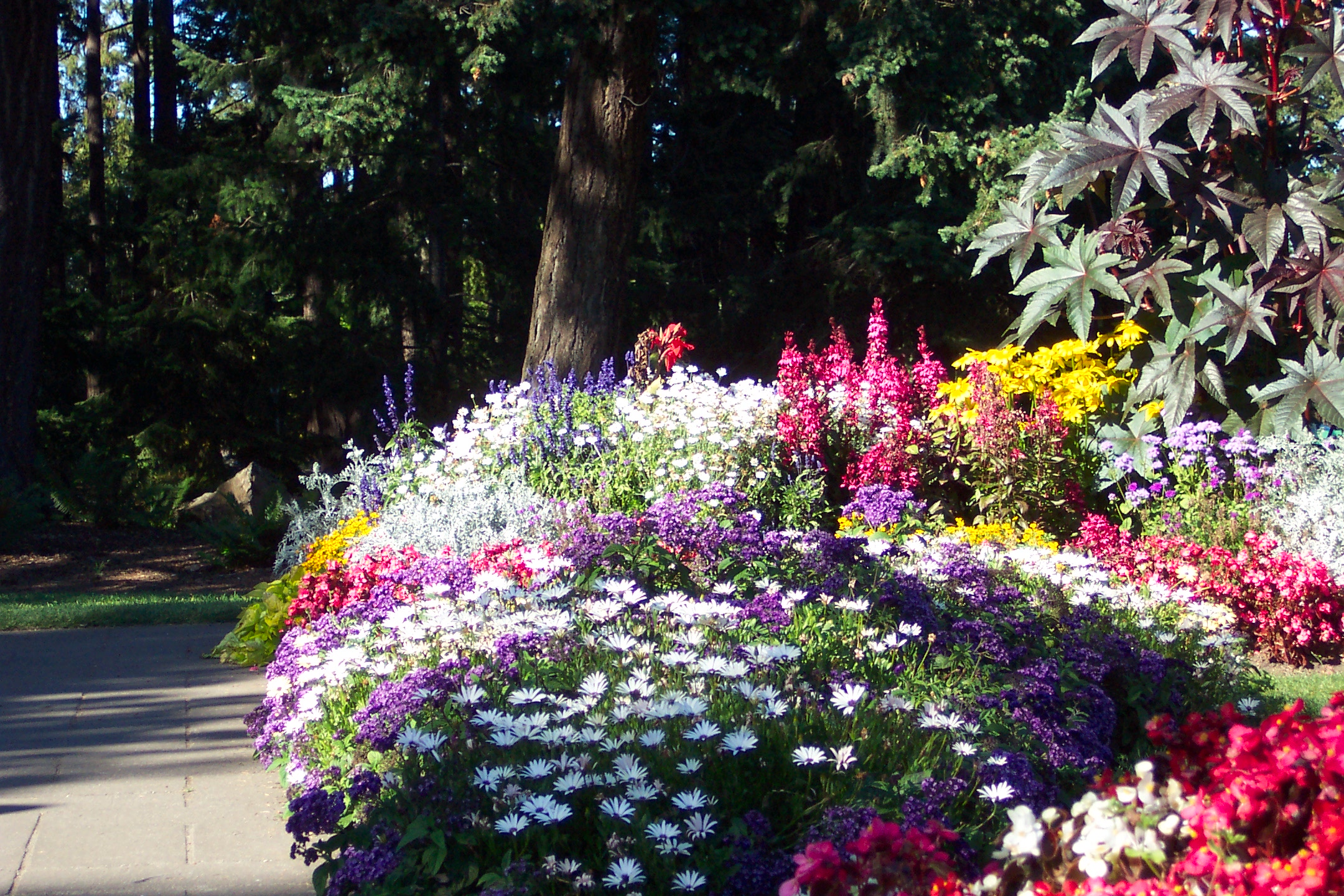 a lush flower garden is in front of some trees