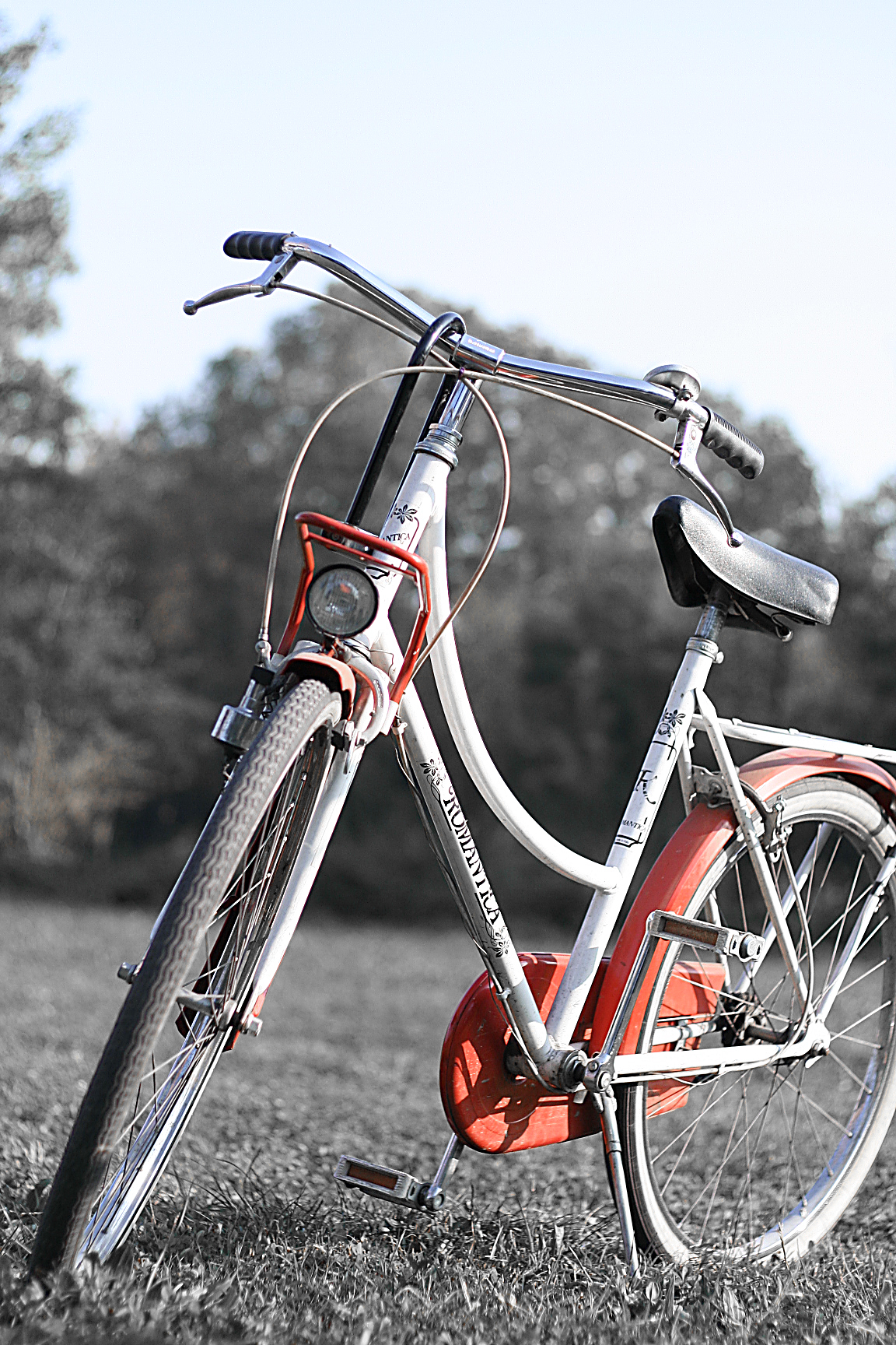 the bike is parked in the grass next to the road