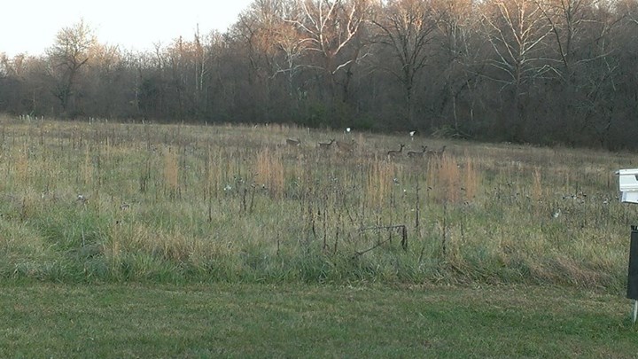 a white birdhouse on the side of a green field