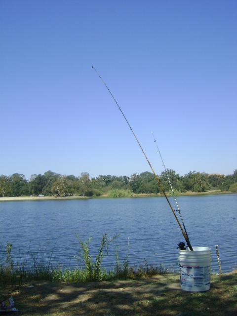 fishing rods sticking up out of a bucket at a lake shore