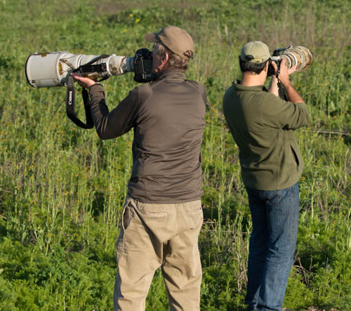man standing in field with camera taking pictures