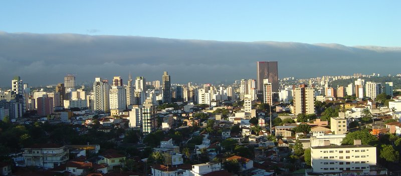 the city skyline with tall buildings and green forest in foreground