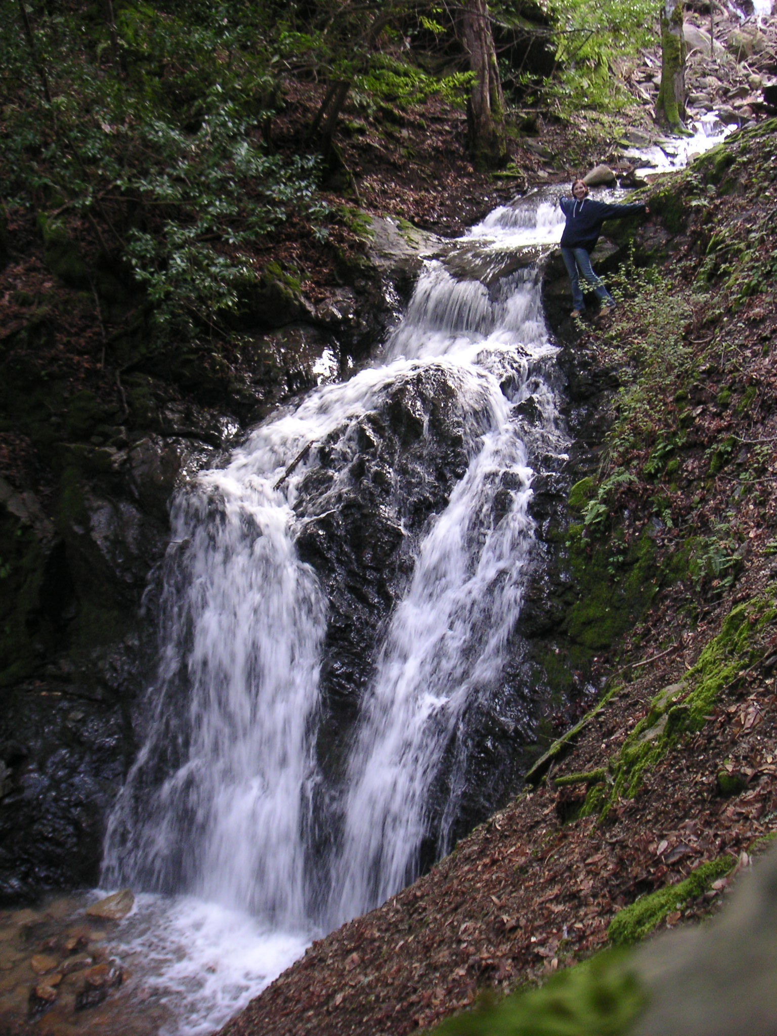 waterfall near road with parked cars in area