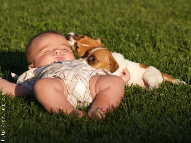an infant baby and a dog laying in the grass