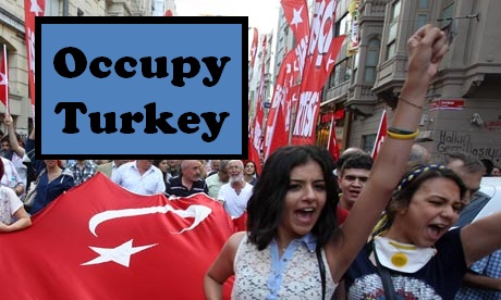 the woman in a crowd is holding a turkey flag
