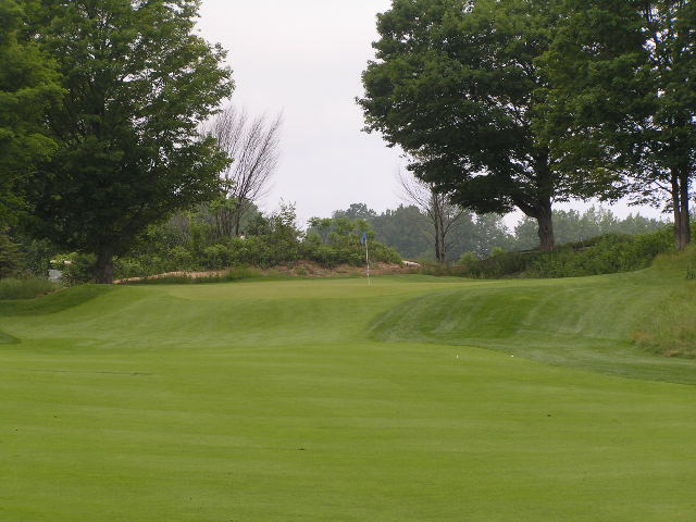 a green golf hole surrounded by trees on a cloudy day